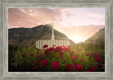 Load image into Gallery viewer, Provo Second Coming

