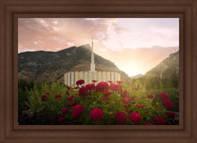 Load image into Gallery viewer, Provo Second Coming
