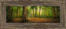 Load image into Gallery viewer, Oh How Lovely was the Morning
