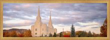 Load image into Gallery viewer, Brigham City Temple Seasons Change
