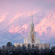 Load image into Gallery viewer, Payson Temple Winter Evening
