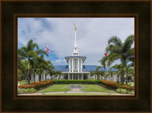 Load image into Gallery viewer, Pape'ete In The Day

