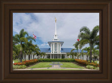 Load image into Gallery viewer, Pape'ete In The Day
