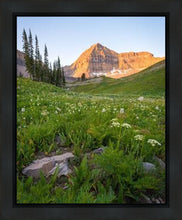 Load image into Gallery viewer, The Meadow
