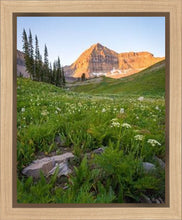 Load image into Gallery viewer, The Meadow
