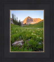 Load image into Gallery viewer, The Meadow
