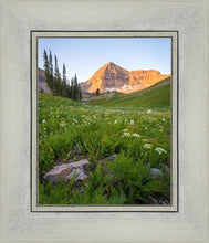 Load image into Gallery viewer, The Meadow
