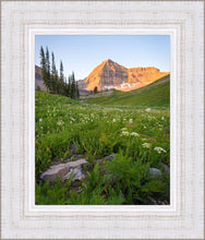 Load image into Gallery viewer, The Meadow
