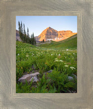 Load image into Gallery viewer, The Meadow
