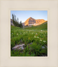 Load image into Gallery viewer, The Meadow
