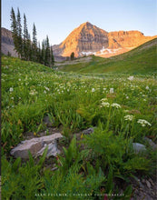 Load image into Gallery viewer, The Meadow
