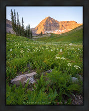 Load image into Gallery viewer, The Meadow
