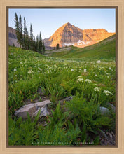 Load image into Gallery viewer, The Meadow
