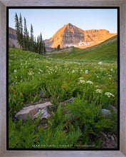 Load image into Gallery viewer, The Meadow
