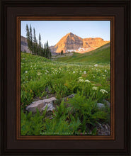 Load image into Gallery viewer, The Meadow
