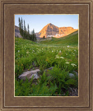 Load image into Gallery viewer, The Meadow

