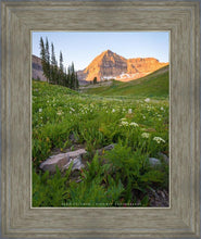 Load image into Gallery viewer, The Meadow
