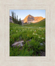 Load image into Gallery viewer, The Meadow
