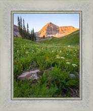 Load image into Gallery viewer, The Meadow
