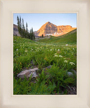 Load image into Gallery viewer, The Meadow
