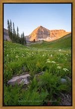 Load image into Gallery viewer, The Meadow
