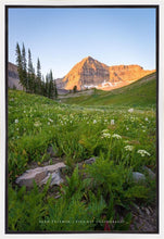 Load image into Gallery viewer, The Meadow
