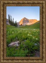 Load image into Gallery viewer, The Meadow
