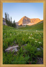 Load image into Gallery viewer, The Meadow
