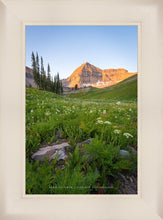 Load image into Gallery viewer, The Meadow
