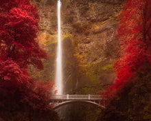 Load image into Gallery viewer, Multnomah Falls

