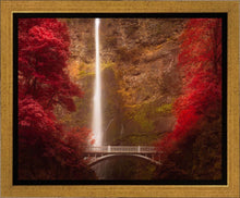 Load image into Gallery viewer, Multnomah Falls
