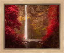 Load image into Gallery viewer, Multnomah Falls
