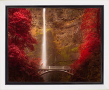 Load image into Gallery viewer, Multnomah Falls

