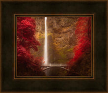 Load image into Gallery viewer, Multnomah Falls
