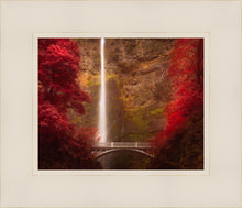 Load image into Gallery viewer, Multnomah Falls
