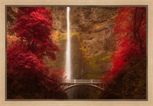 Load image into Gallery viewer, Multnomah Falls
