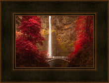 Load image into Gallery viewer, Multnomah Falls
