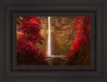 Load image into Gallery viewer, Multnomah Falls
