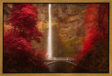 Load image into Gallery viewer, Multnomah Falls
