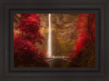 Load image into Gallery viewer, Multnomah Falls
