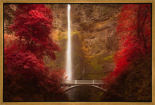 Load image into Gallery viewer, Multnomah Falls
