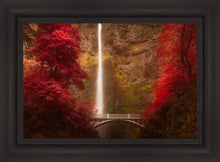 Load image into Gallery viewer, Multnomah Falls

