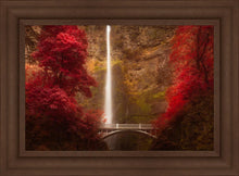 Load image into Gallery viewer, Multnomah Falls
