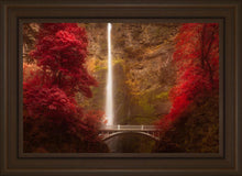 Load image into Gallery viewer, Multnomah Falls

