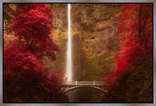 Load image into Gallery viewer, Multnomah Falls
