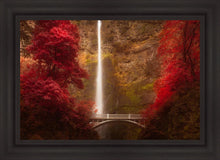 Load image into Gallery viewer, Multnomah Falls
