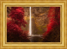 Load image into Gallery viewer, Multnomah Falls
