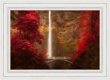 Load image into Gallery viewer, Multnomah Falls
