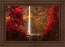 Load image into Gallery viewer, Multnomah Falls
