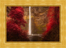 Load image into Gallery viewer, Multnomah Falls

